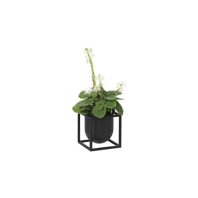 Audo Kubus Urtepotte 10 - Sort Minimalistisk Design