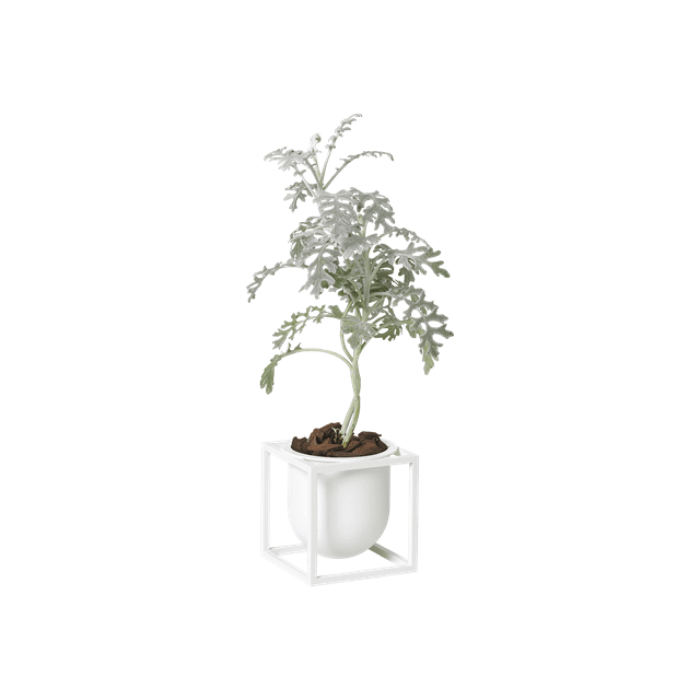 Audo Kubus Urtepotte 10 Hvid - Minimalistisk Design